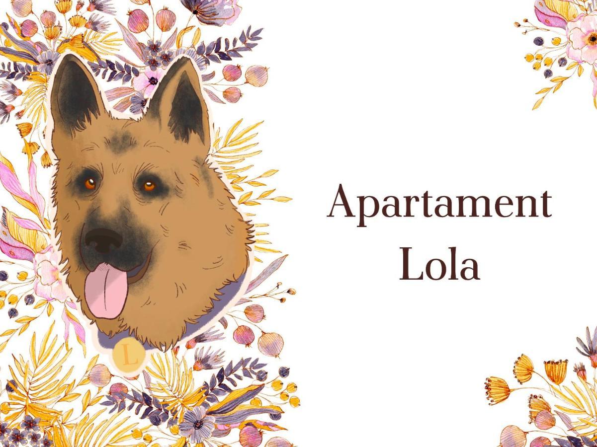 Willa Anna Schreiberhau Exterior foto